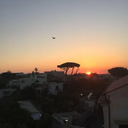 Ring Forio di Ischia