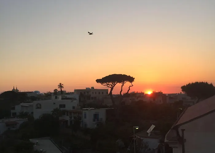 Ring Forio di Ischia