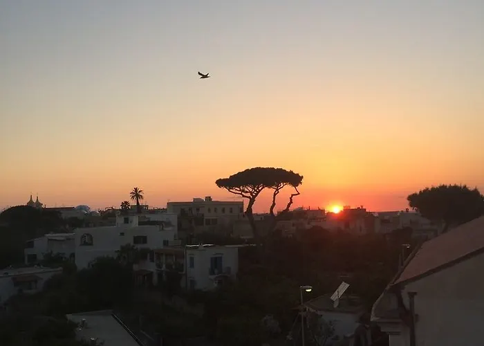 Ring Forio di Ischia