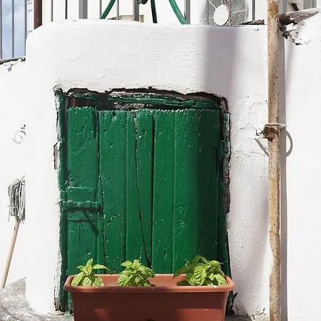 Hostel Ring Forio (Isola d'Ischia)